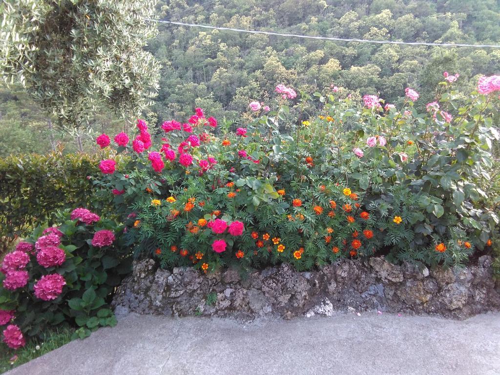 Apartamento Bargoncello Riccò del Golfo di Spezia Exterior foto